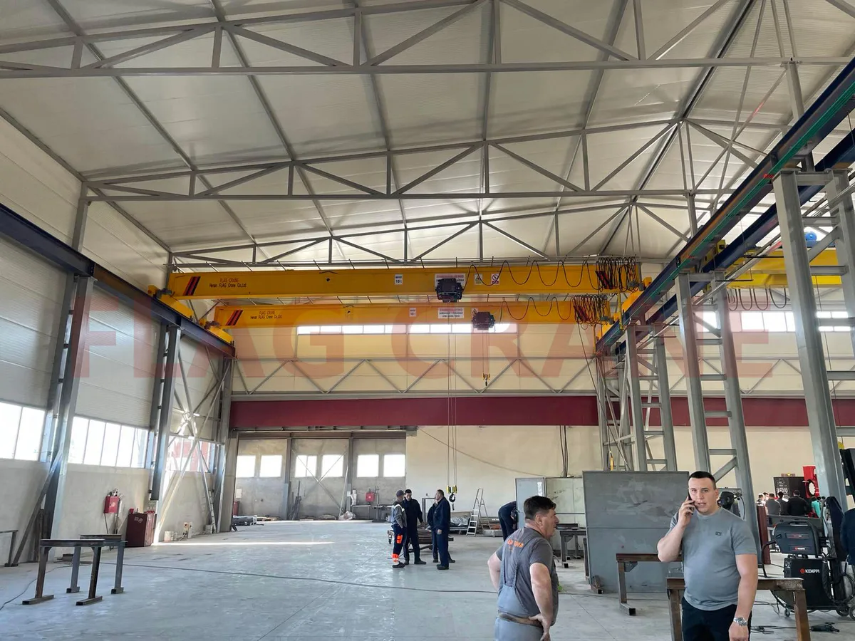 Electric Chain Hoist for Spain